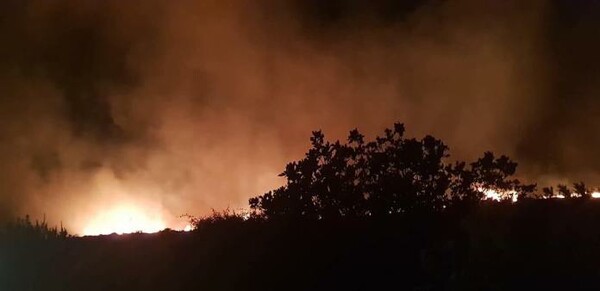 Κάρυστος: Υπό μερικό έλεγχο η φωτιά μετά από ολονύκτια μάχη με τις φλόγες