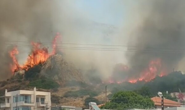 Πυρκαγιά στο Λαγονήσι: Εκκενώθηκαν σπίτια