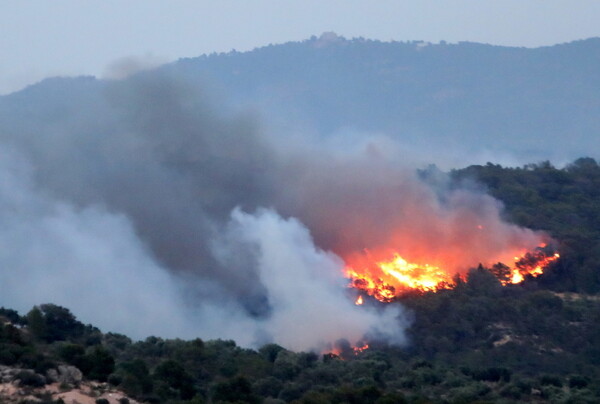 Ισπανία: Εκτός ελέγχου η πυρκαγιά στην Καταλονία - Στάχτη 40.000 στρέμματα με ελιές και αμπέλια