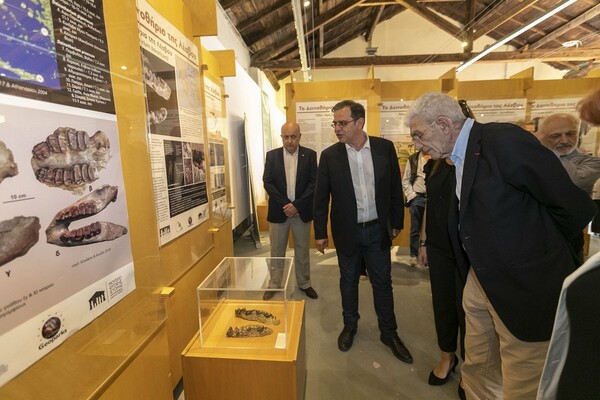 Άνοιξε επισήμως το Αριστοτέλειο Μουσείο Φυσικής Ιστορίας της Θεσσαλονίκης