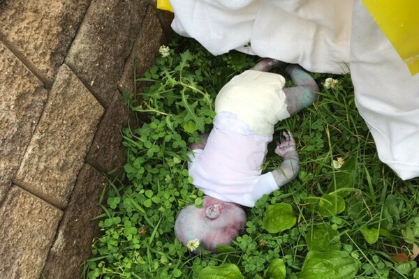 Μεγάλος συναγερμός στη Νέα Υόρκη για μια κούκλα - Νόμιζαν πως βρήκαν νεκρό βρέφος