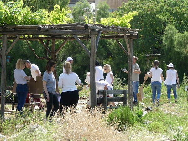 Responsib’ALL Day 2019: Περιβαλλοντική Δράση για τους εργαζόμενους της Pernod Ricard Hellas