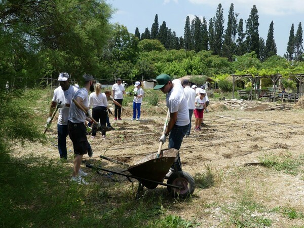 Responsib’ALL Day 2019: Περιβαλλοντική Δράση για τους εργαζόμενους της Pernod Ricard Hellas