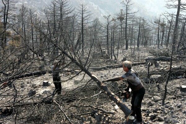 Σαν σήμερα: Δώδεκα χρόνια από τον όλεθρο της Πάρνηθας, τη μεγαλύτερη πυρκαγιά στην Αττική