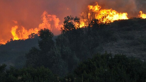 Σαν σήμερα: Δώδεκα χρόνια από τον όλεθρο της Πάρνηθας, τη μεγαλύτερη πυρκαγιά στην Αττική