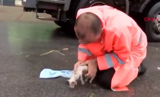 Η στιγμή που εργάτης σώζει γατάκι από πνιγμό στην Τουρκία - Του έδωσε τις πρώτες βοήθειες