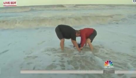 Φλόριντα: Ρεπόρτερ σώζει ένα μικρό δελφίνι που ξεβράστηκε εξαιτίας του τυφώνα Ίρμα - Βίντεο