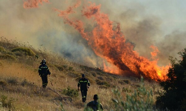 Με φιδάκι και σπίρτα ήθελαν να βάλουν φωτιές σε περιοχή της Στερεάς