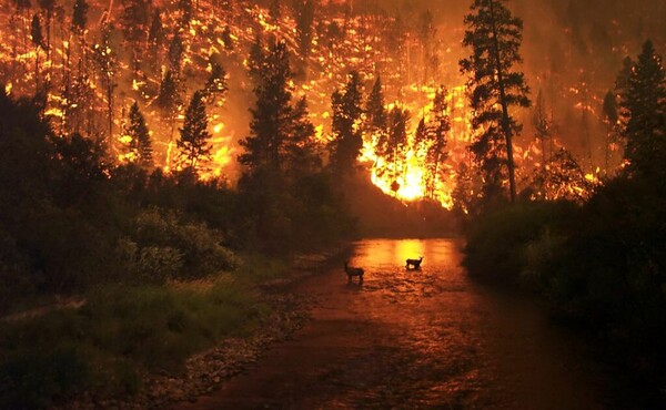 Οι viral φωτογραφίες που ΔΕΝ δείχνουν τις τωρινές φωτιές στον Αμαζόνιο ή δεν είναι καν από τη Βραζιλία