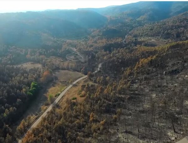 Η Εύβοια μετά την πυρκαγιά - Το μαύρο αποτύπωμα της φωτιάς σε βίντεο από drone