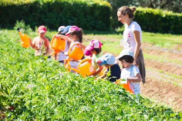 Little Green Farmers: Μία πλατφόρμα για ανάπτυξη κηπουρικών δραστηριοτήτων για παιδιά και ενήλικες