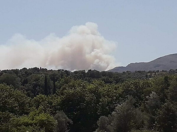 Φωτιά στην Εύβοια - Μεγάλη κινητοποίηση της πυροσβεστικής