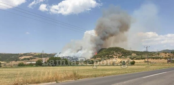 Φωτιά στη Φθιώτιδα - Κοντά σε σπίτια οι φλόγες