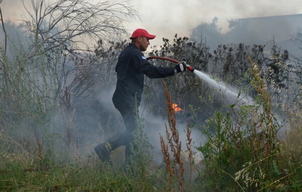 Φωτιά στην Κερατέα: Ισχυρές δυνάμεις της πυροσβεστικής