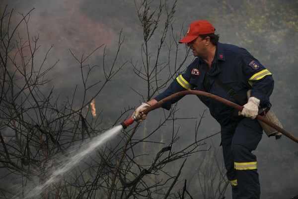 Φωτιά στην Κλάκοβα Μεγαλόπολης σε δύσβατο σημείο: Μεγάλη επιχείρηση της πυροσβεστικής