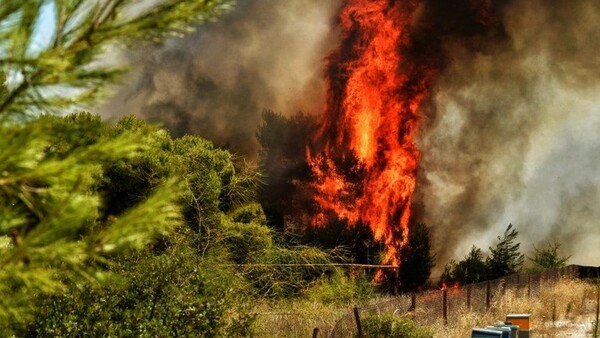 Φωτιά στην Κορινθία: Συνεχίζεται για τέταρτη ημέρα η καταστροφή - Μάχη με διάσπαρτες εστίες