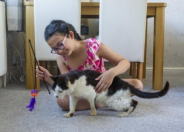 Βρήκε ξανά τον γάτο της μετά από 12 χρόνια: «Τον πήρα αγκαλιά και άρχισε να γουργουρίζει»
