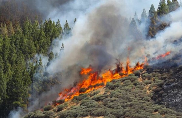 Ισπανία: Μεγάλες πυρκαγιές στο νησί Γκραν Κανάρια - Εκκενώθηκαν κωμοπόλεις