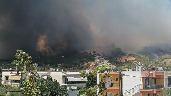Πυρκαγιά στις Κεχριές Κορινθίας: Εκκενώθηκαν οικισμοί και κατασκήνωση - Στο σημείο ο Χαρδαλιάς