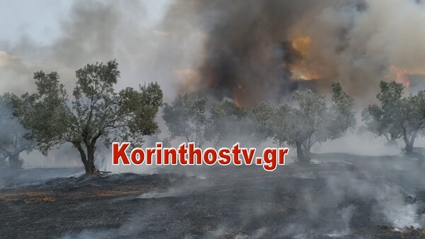 Κόρινθος: Πυρκαγιά κοντά σε στρατόπεδο - Εισήγηση για εκκένωση οικισμού
