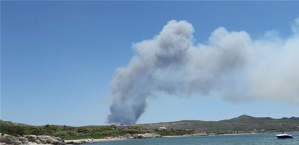 Μεγάλη πυρκαγιά στο Λαύριο: Εκκενώνονται προληπτικά οικισμοί - Βίντεο