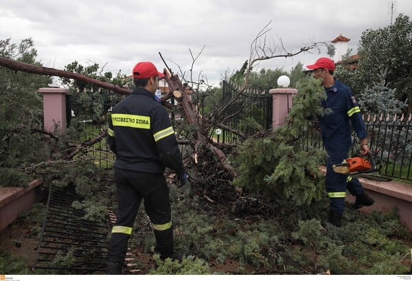 Τι λένε οι μετεωρολόγοι για την φονική κακοκαιρία στη Χαλκιδική - Πώς εξηγούν το φαινόμενο