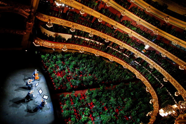 Όπερα Βαρκελώνης: Μια διαφορετική συναυλία, με «θεατές» 2.292 φυτά- Η πρεμιέρα μετά την καραντίνα
