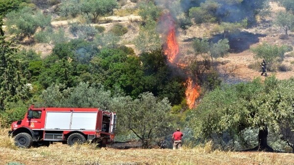 Στις 36 οι πυρκαγιές από χθες το απόγευμα - Σε ύφεση η φωτιά στην Φωκίδα