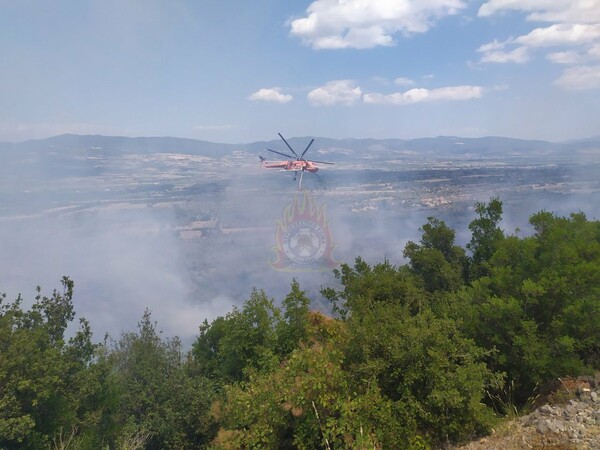 Τιθορέα: Ενισχύονται οι δυνάμεις της πυροσβεστικής - Εμπρησμό καταγγέλλουν οι κάτοικοι