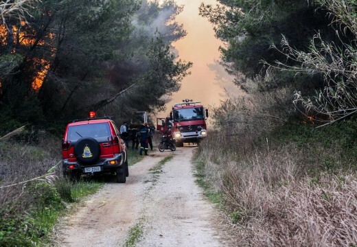 Συναγερμός στην Πυροσβεστική για πυρκαγιά στη Μάνδρα Αττικής