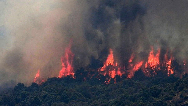 WWF: Οι γιγαντιαίες πυρκαγιές απειλούν την Ευρώπη
