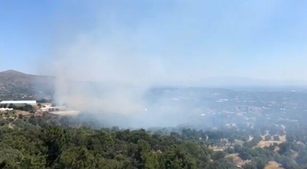 Πυρκαγιά στη Χίο - Μεγάλη επιχείρηση της πυροσβεστικής