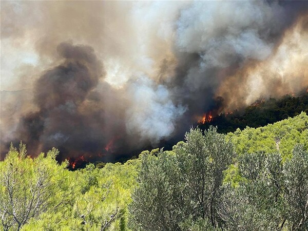 Μεγάλη πυρκαγιά στο Λαύριο: Εκκενώνονται προληπτικά οικισμοί - Βίντεο