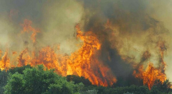 ΓΓΠΠ: Ακραίος κίνδυνος πυρκαγιάς το τριήμερο - Σε γενική επιφυλακή η Πυροσβεστική
