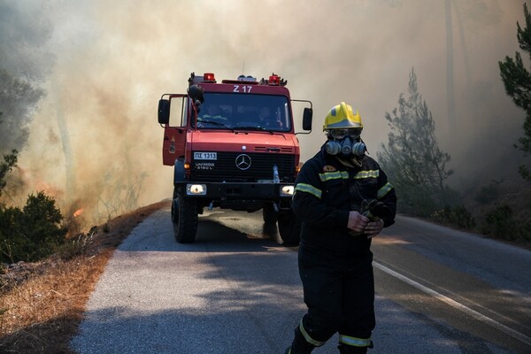 Μεσσηνία: Σύλληψη και φυλακή σε εμπρηστή - Έβαλε δέκα φωτιές