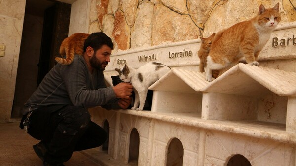 Συρία: Σώζοντας γάτες στην εμπόλεμη ζώνη - Ο άνθρωπος που ψάχνει στα χαλάσματα