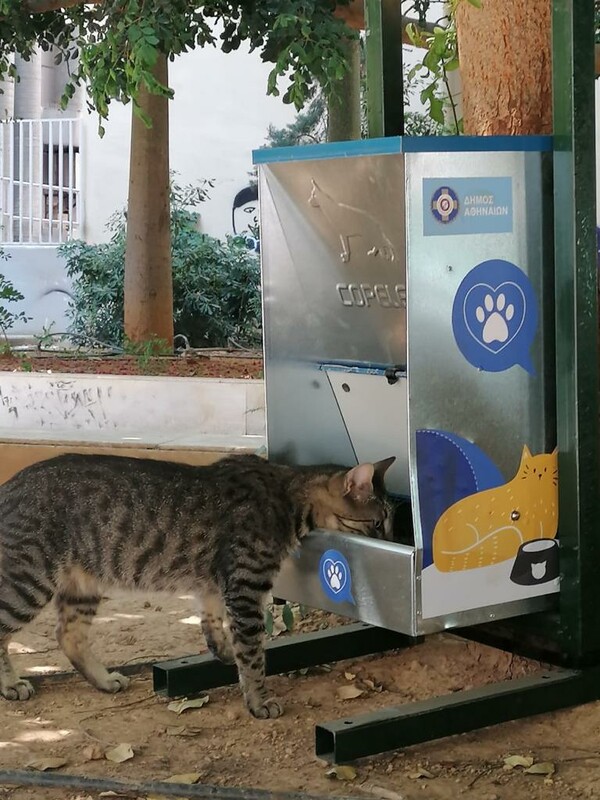 Ταΐστρες για αδέσποτους σκύλους και γάτες στον Δήμο της Αθήνας - Τα σημεία