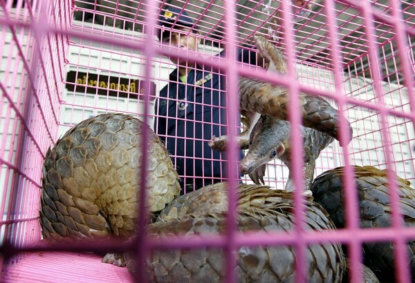 To Βιετνάμ απαγόρευσε το εμπόριο άγριων ζώων για να περιορίσει τις επιδημίες
