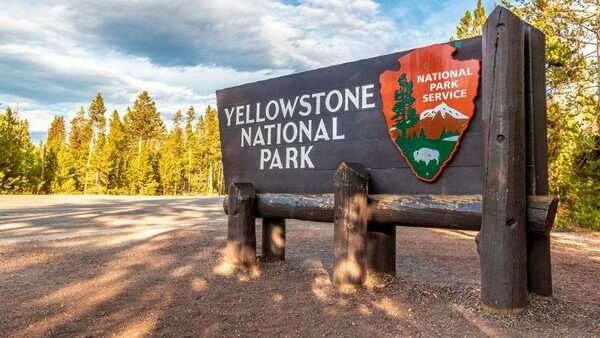 Πάρκο Yellowstone: Βίσονας τραυμάτισε με τα κέρατά του επισκέπτη που «πήγε να τον φωτογραφίσει από κοντά»