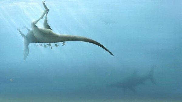 Νέο είδος δεινοσαύρου ανακαλύφθηκε στη Βρετανία - Συγγενικό του T. Rex