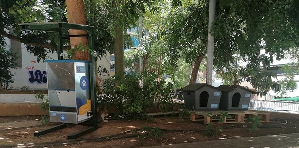 Ο Δήμος Αθηναίων τοποθετεί σπιτάκια για γάτες σε γειτονιές της πόλης