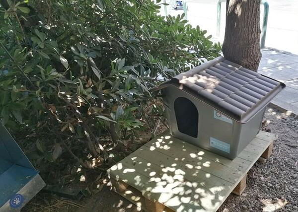Ο Δήμος Αθηναίων τοποθετεί σπιτάκια για γάτες σε γειτονιές της πόλης