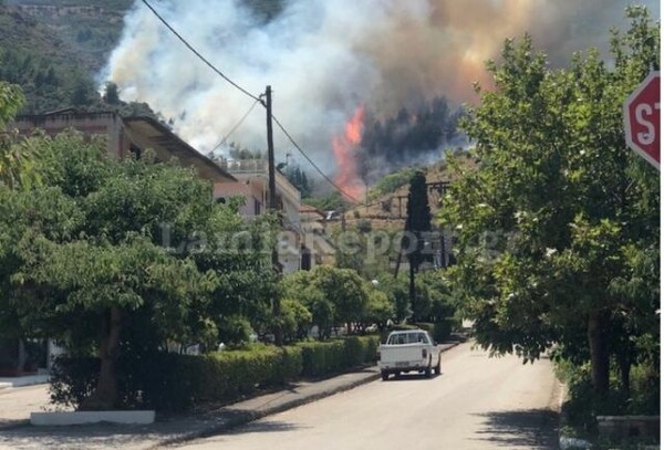 Αταλάντη: Φωτιά σε δασική έκταση - Κοντά σε σπίτια οι φλόγες