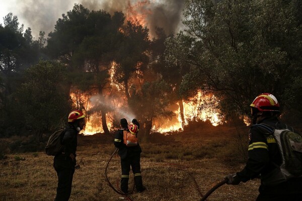 Μεγάλη φωτιά στην ανατολική Μάνη - Εισηγήσεις για εκκένωση του οικισμού Καλύβια