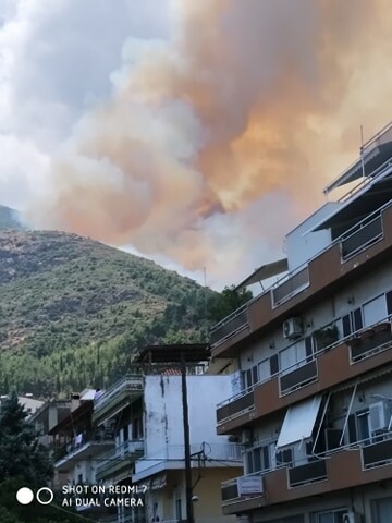 Αταλάντη: Φωτιά σε δασική έκταση - Κοντά σε σπίτια οι φλόγες