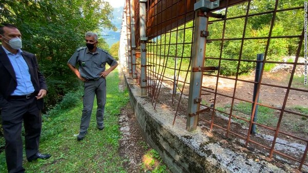 Ιταλία: Ο «Πεταλούδας», η αρκούδα - αυθεντία στις αποδράσεις, το'σκασε (ξανά)