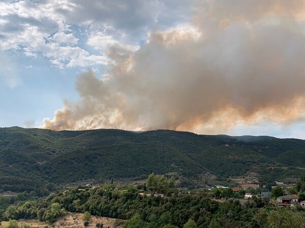 Αγρίνιο: Μεγάλη φωτιά σε δασική έκταση