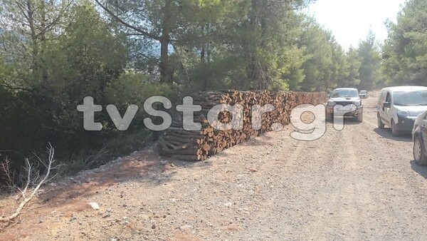 Εύβοια: Αποψιλώνουν το δάσος για μεταλλευτική εκμετάλλευση - Είχαν τις άδειες πριν τη φωτιά