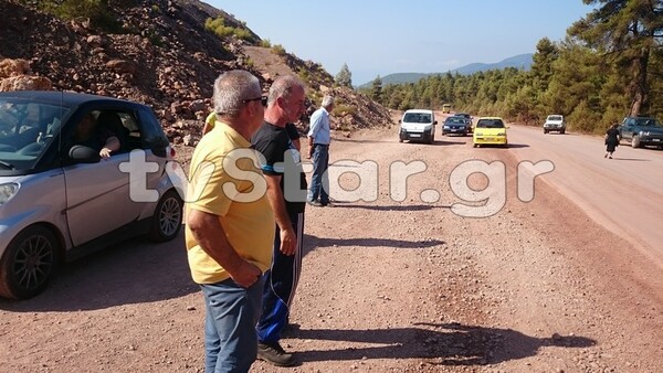 Εύβοια: Αποψιλώνουν το δάσος για μεταλλευτική εκμετάλλευση - Είχαν τις άδειες πριν τη φωτιά