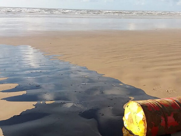 Βραζιλία: Έρευνα για πετρελαιοκηλίδες σε εκατοντάδες παραλίες - Νεκρές θαλάσσιες χελώνες
